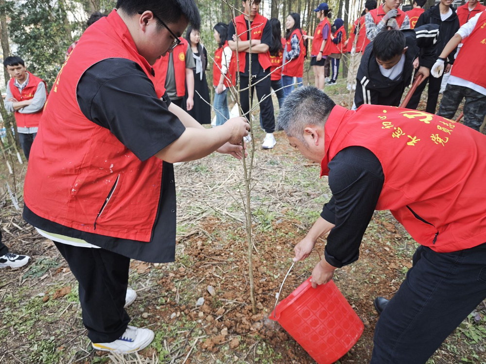 植此青綠 共筑家園——電氣工程系黨總支開展植樹節(jié)主題黨日活動