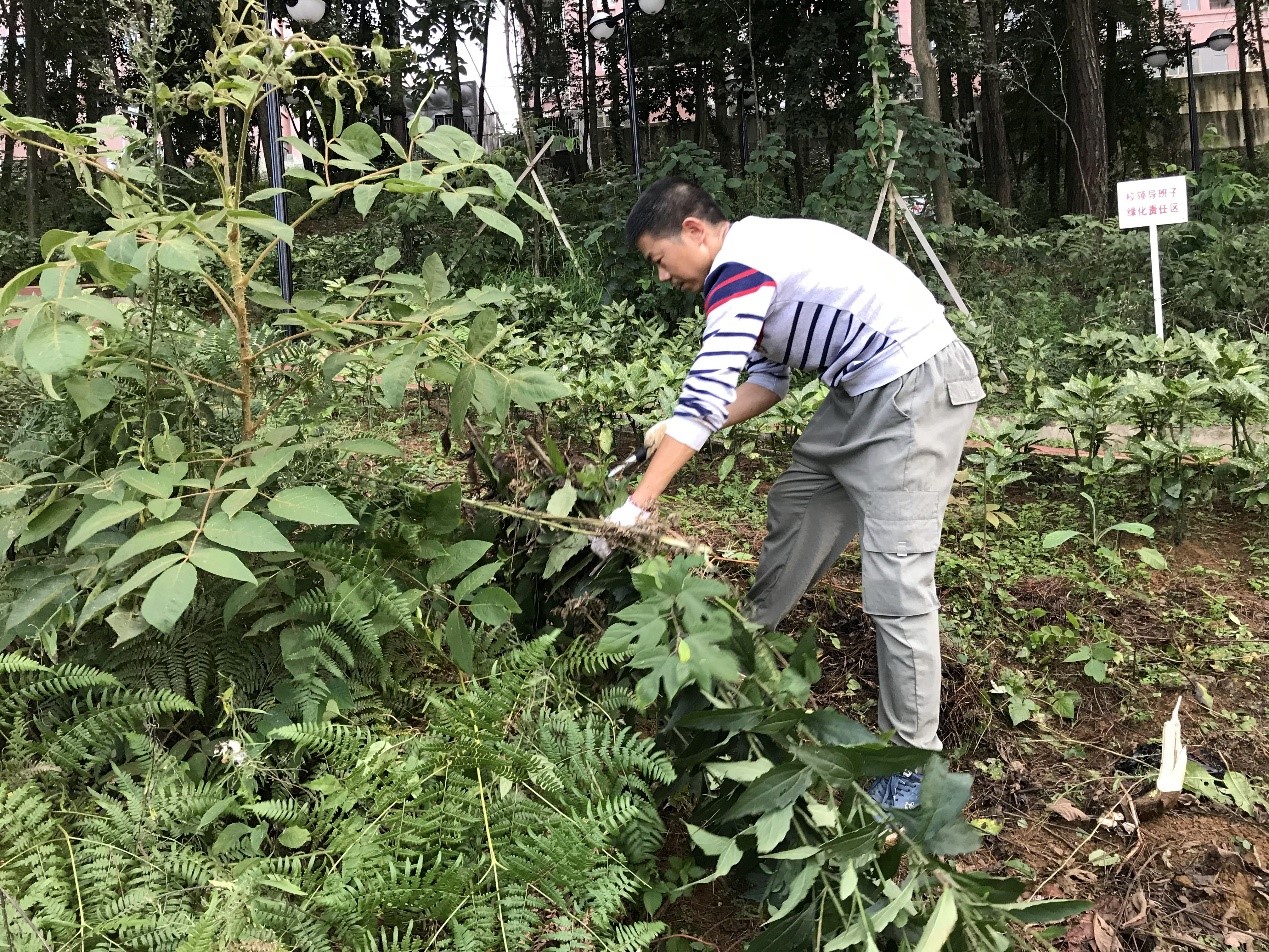 第一黨支部組織召開(kāi)義務(wù)勞動(dòng)活動(dòng)