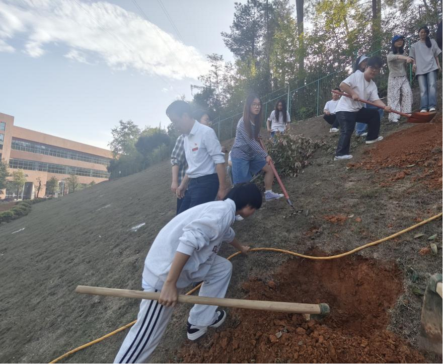 信息工程系黨總支開展“根植青衿志，綠潤母校情”畢業(yè)季植樹活動